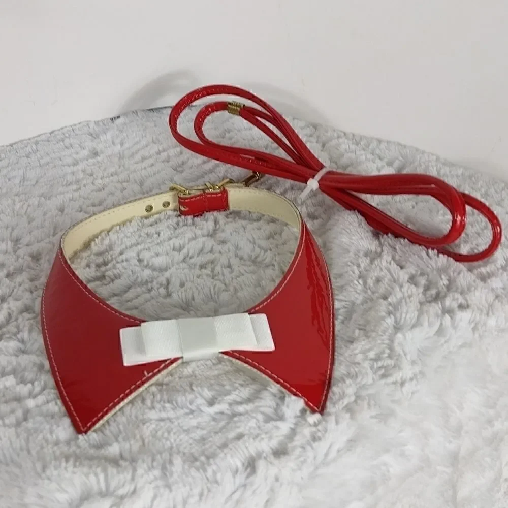 Red Dog Collar & Leash 18